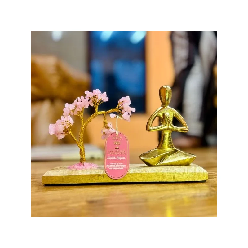 jardim-de-yoga-com-pedras-preciosas